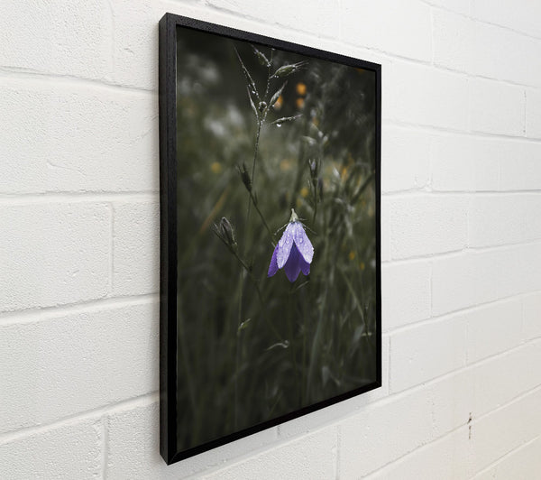 Purple Bell In The Fog