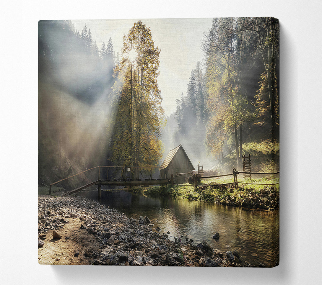  A Canvas Print of Golden Sunbeams Through Mist Canvas Print
