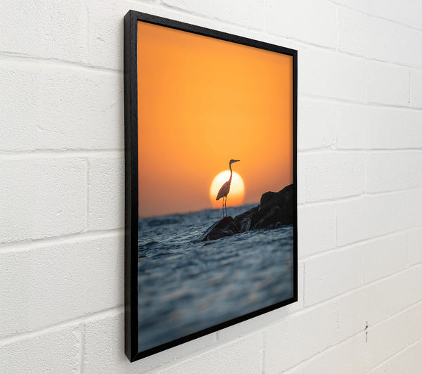 Orange Sunset Heron