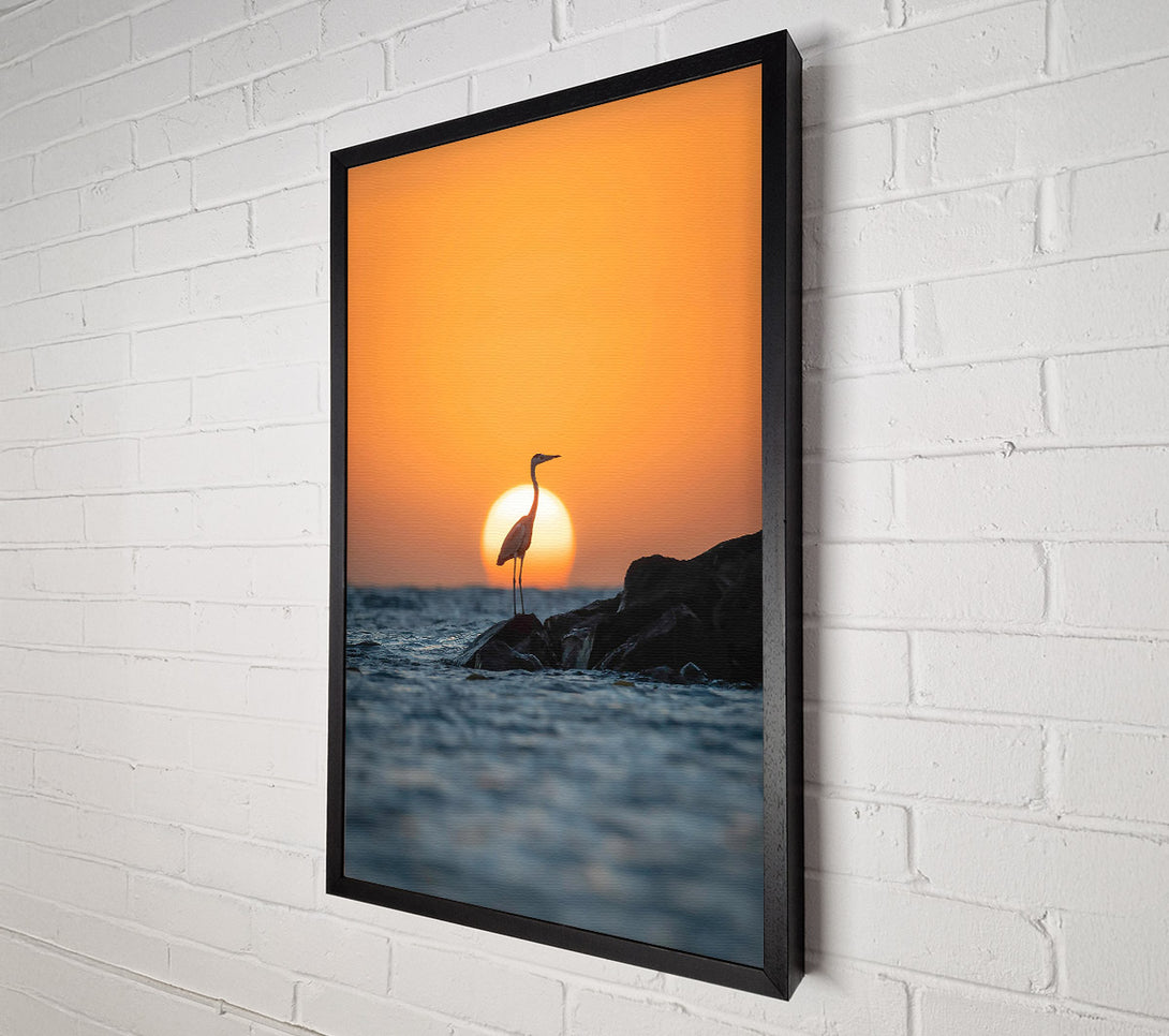  A Canvas Print of Orange Sunset Heron Canvas Print