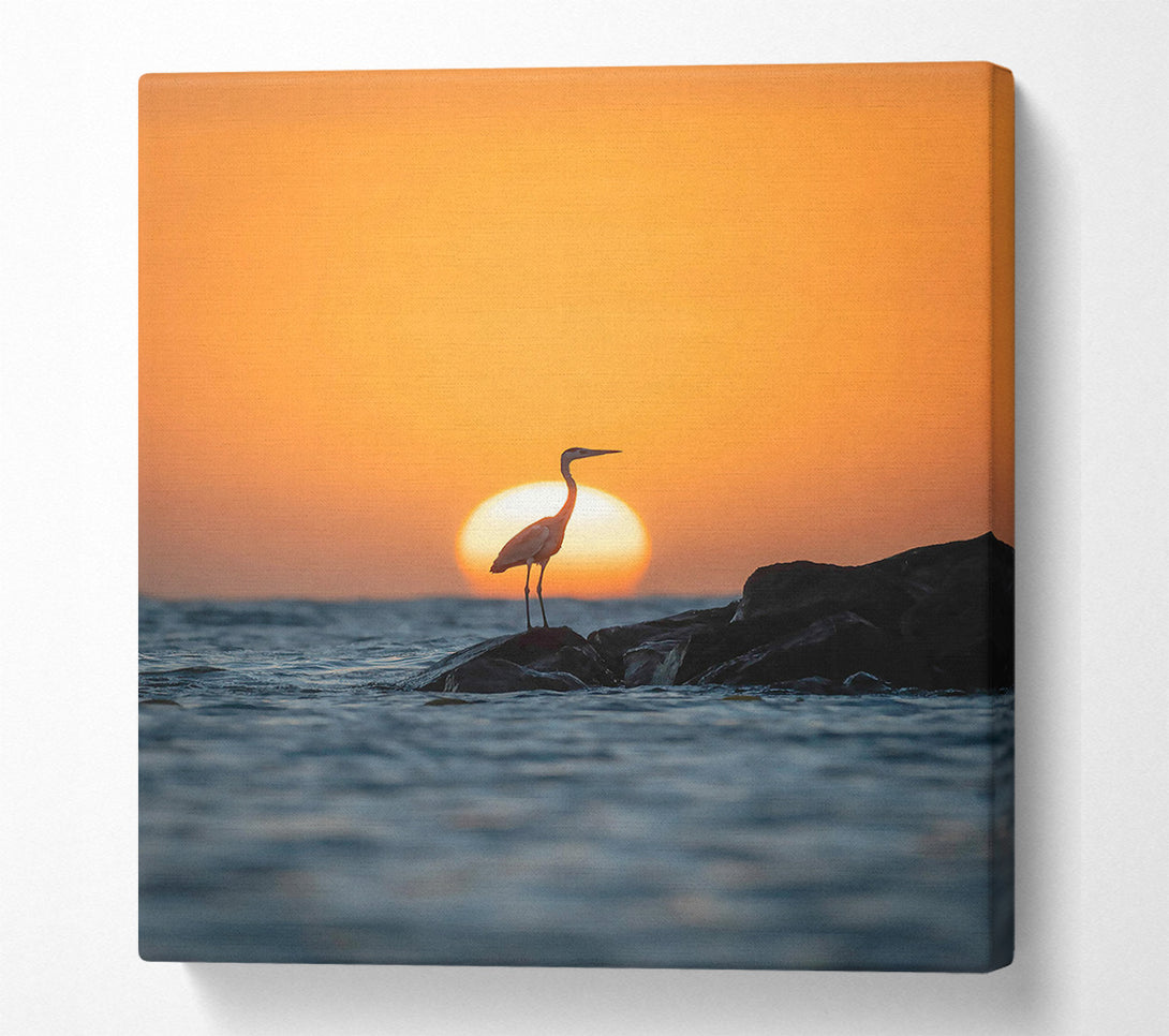  A Canvas Print of Orange Sunset Heron Canvas Print