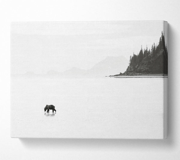  A Canvas Print of White Shore Solitude Canvas Print