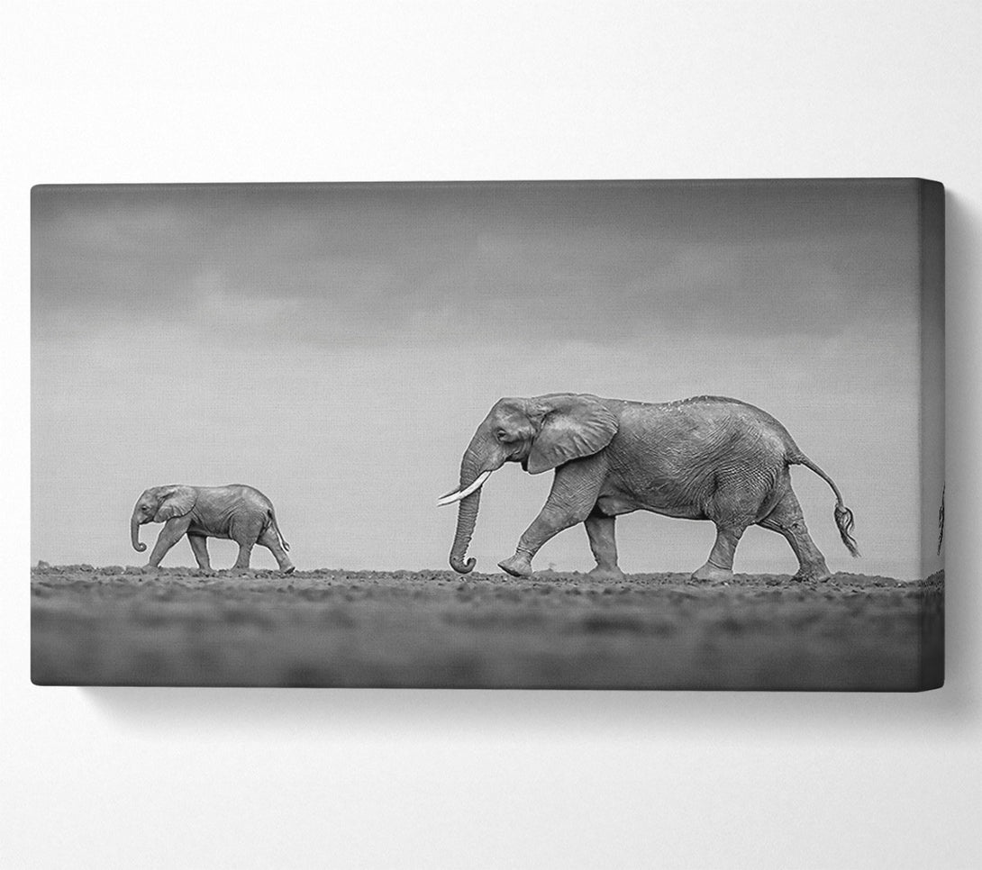  A Canvas Print of Gray Steps Of Giants Canvas Wall Art