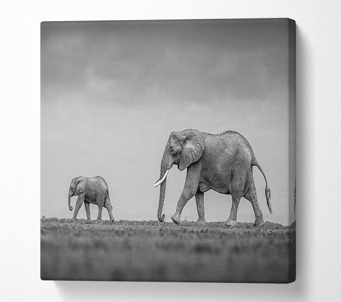  A Canvas Print of Gray Steps Of Giants Canvas Wall Art