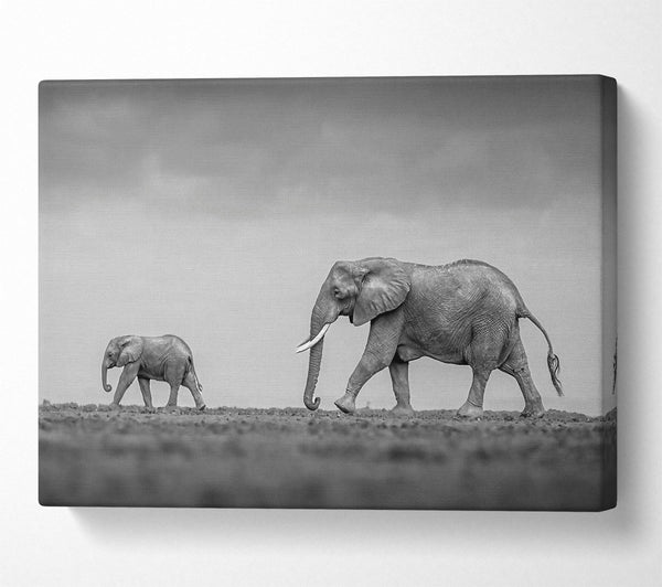  A Canvas Print of Gray Steps Of Giants Canvas Wall Art