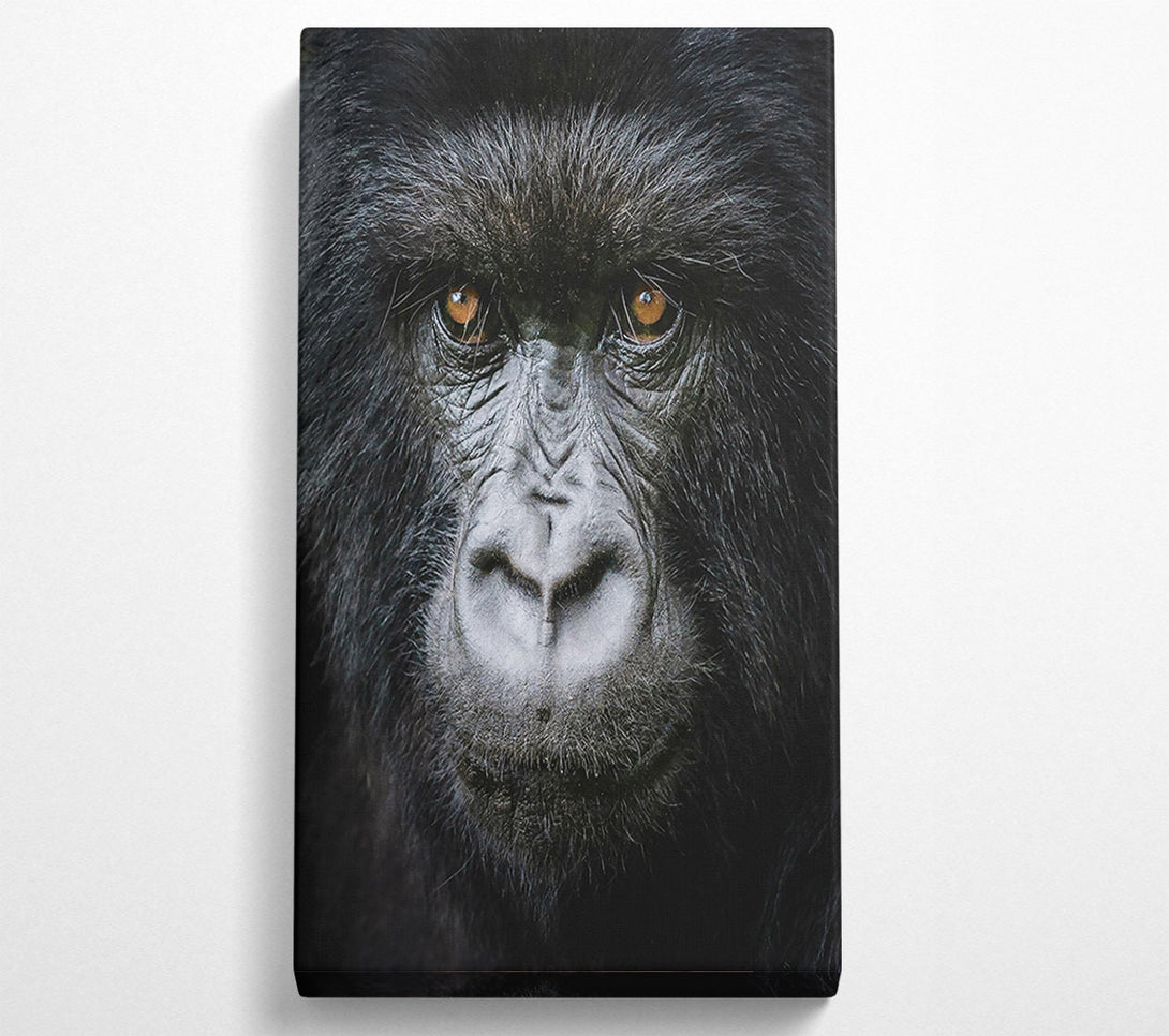  A Canvas Print of Black Fur, Golden Eyes. Canvas Art