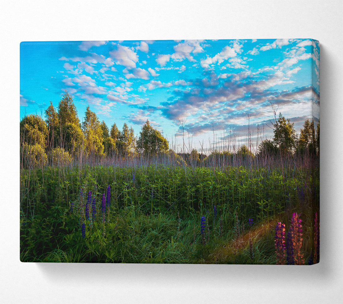  A Canvas Print of Blue Sky Meadow Canvas Art