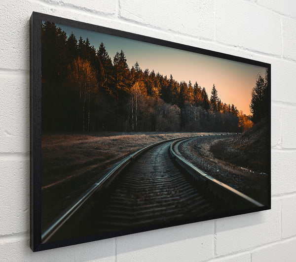 Golden Forest Tracks