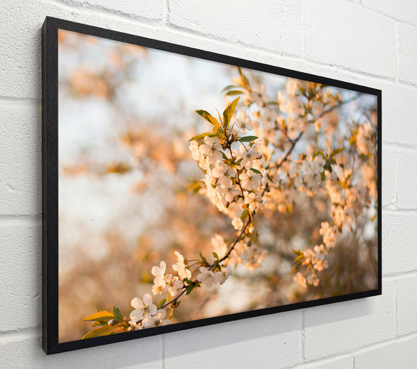Golden Spring Blossom