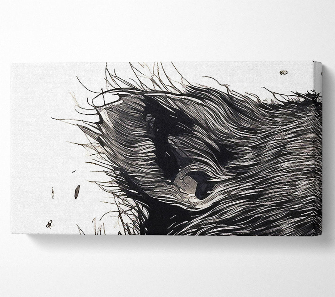  A Canvas Print of Rat Scream Canvas Wall Art