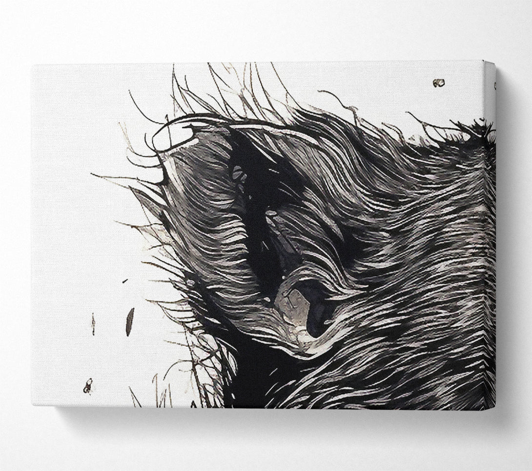  A Canvas Print of Rat Scream Canvas Wall Art