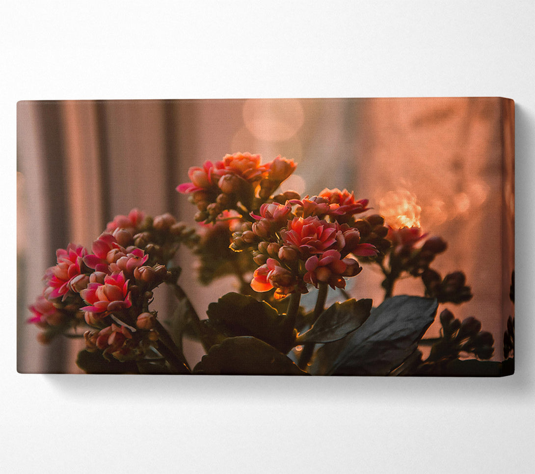  A Canvas Print of Pink Flowers In Bloom Canvas Print