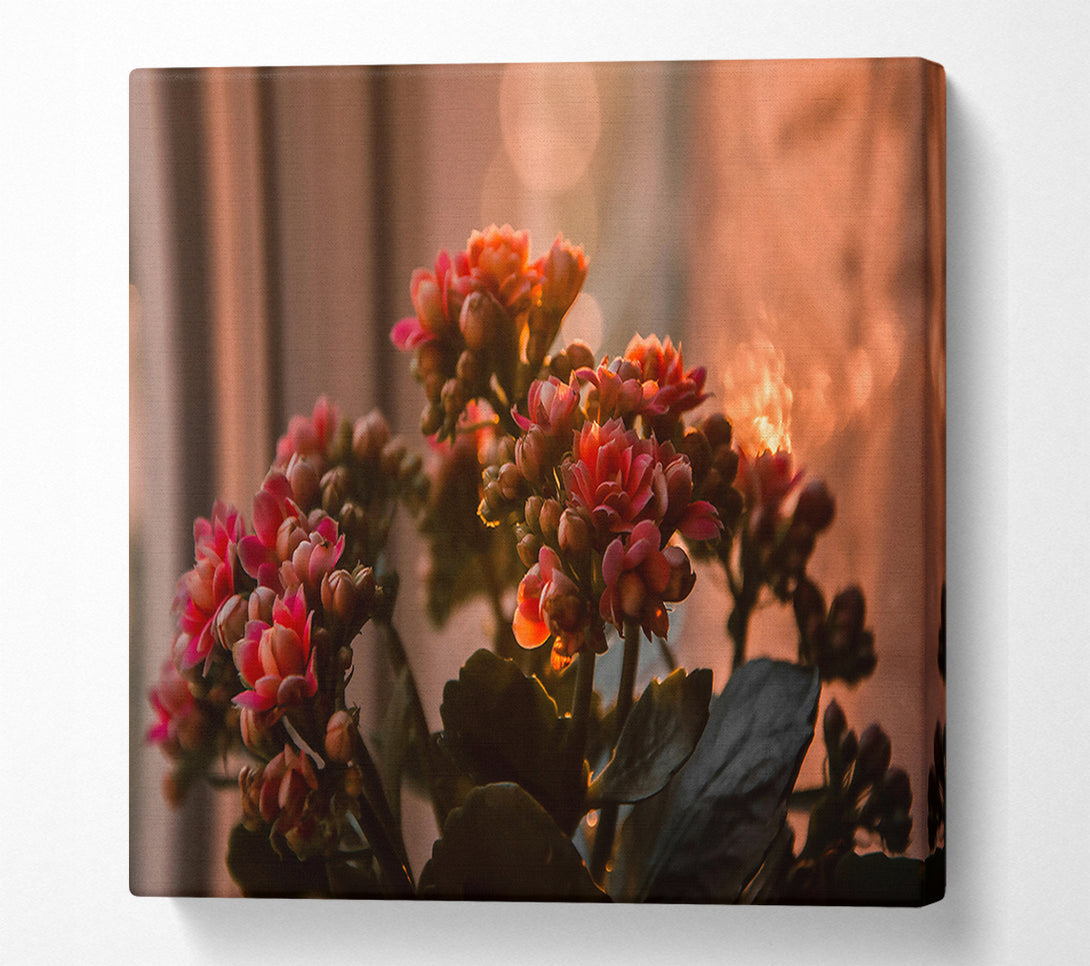  A Canvas Print of Pink Flowers In Bloom Canvas Print