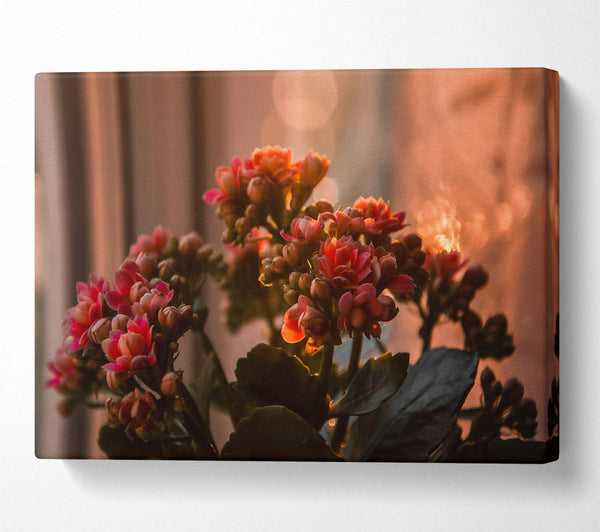  A Canvas Print of Pink Flowers In Bloom Canvas Print