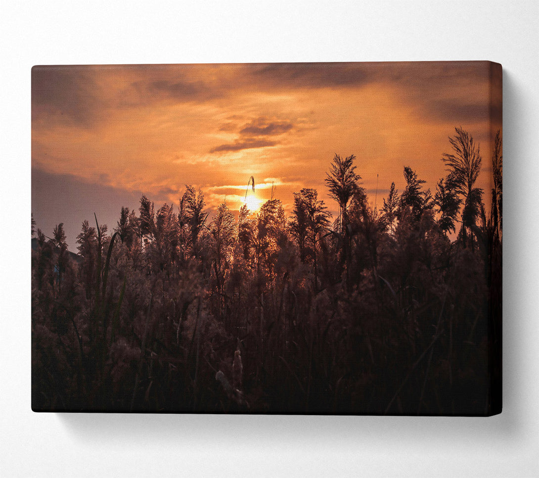  A Canvas Print of Orange Sunset Silhouettes Canvas Print