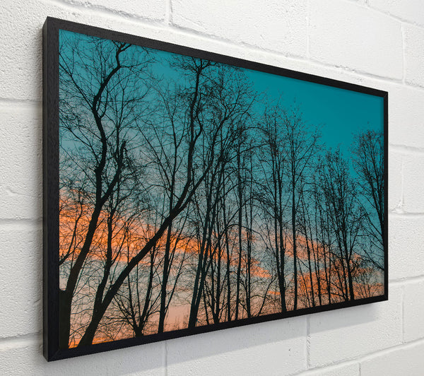 Silhouettes In Teal Sky