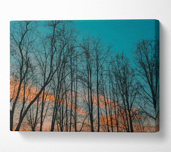  A Canvas Print of Silhouettes In Teal Sky Canvas Wall Art