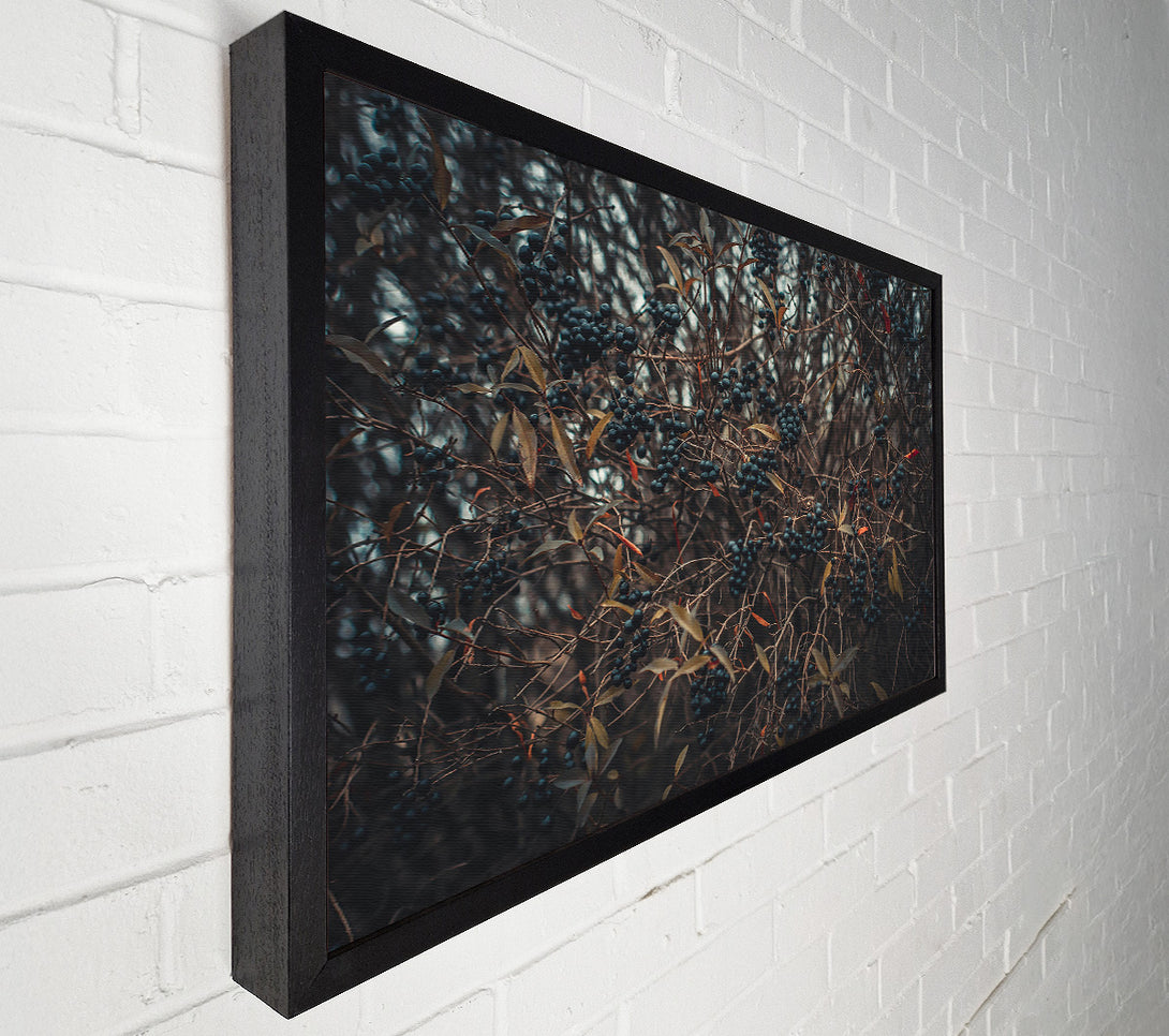  A Canvas Print of Indigo Winter Sprig Canvas Art