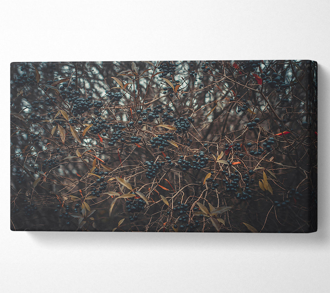  A Canvas Print of Indigo Winter Sprig Canvas Art