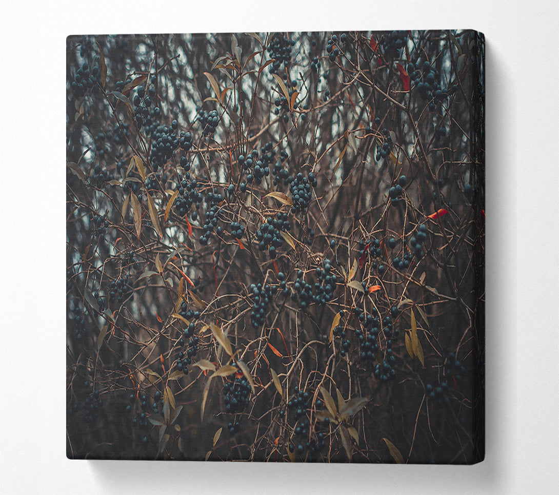  A Canvas Print of Indigo Winter Sprig Canvas Art