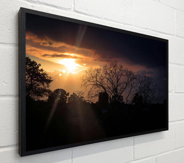 Golden Sunset Silhouettes