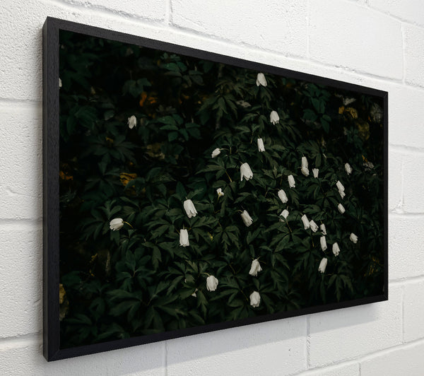 Emerald And White Blooms