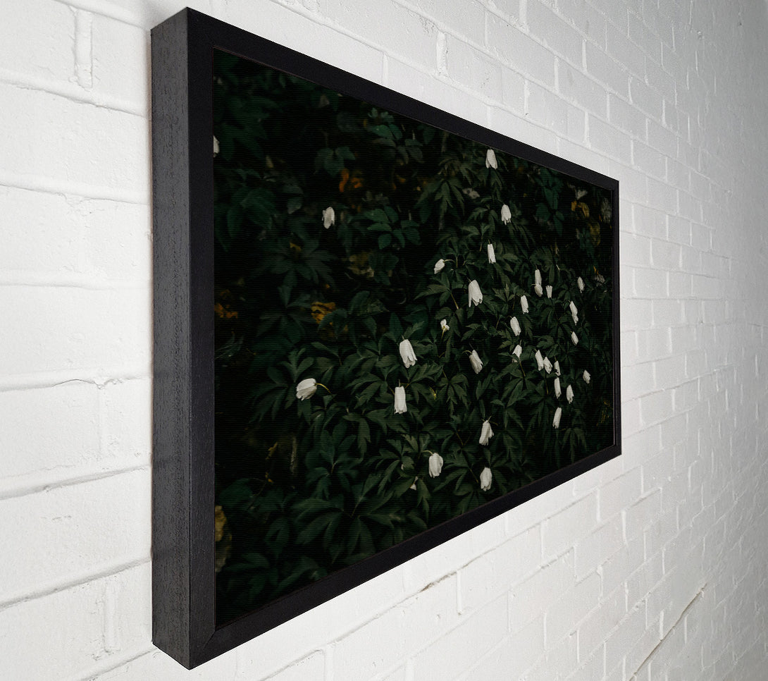  A Canvas Print of Emerald And White Blooms Canvas Print