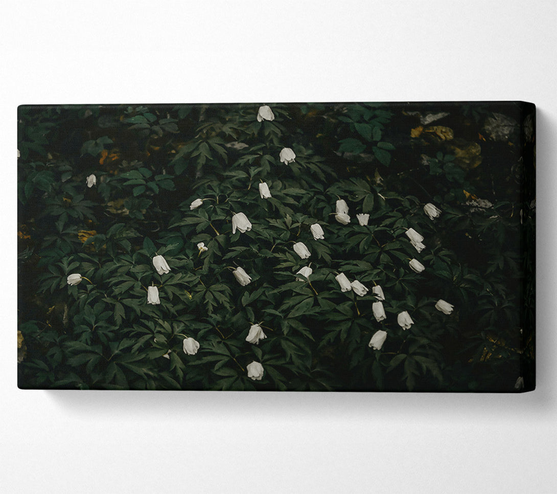  A Canvas Print of Emerald And White Blooms Canvas Print