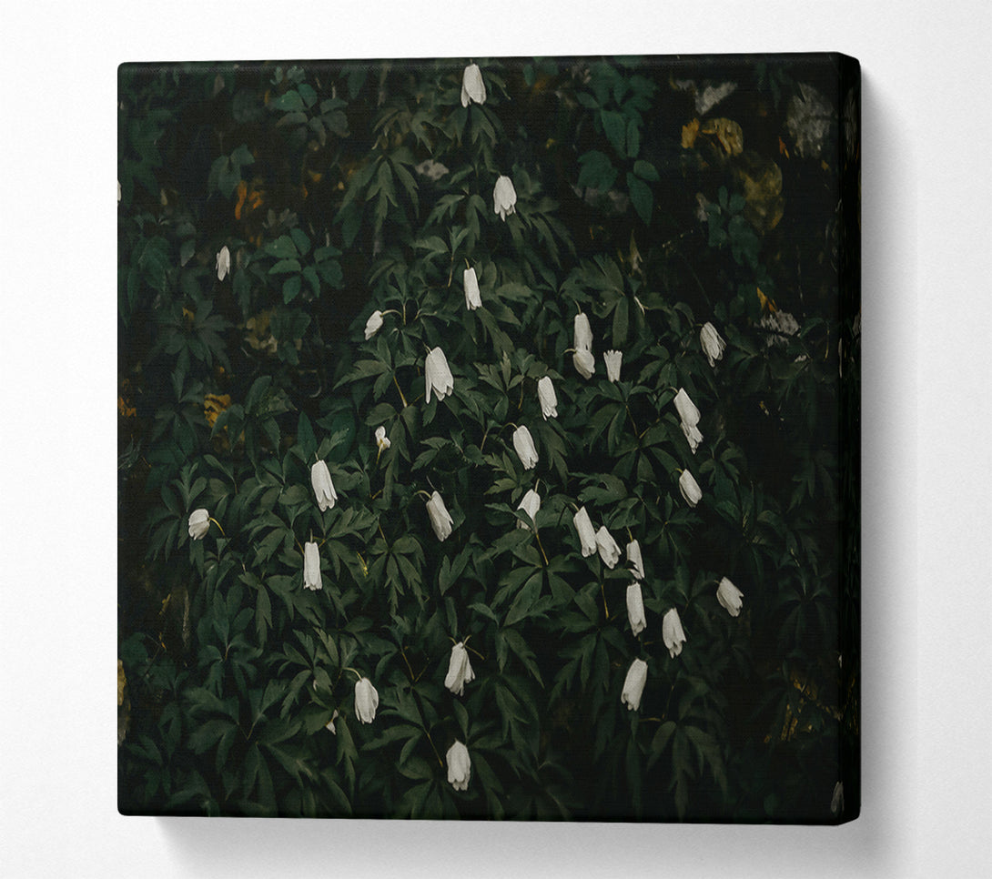  A Canvas Print of Emerald And White Blooms Canvas Print