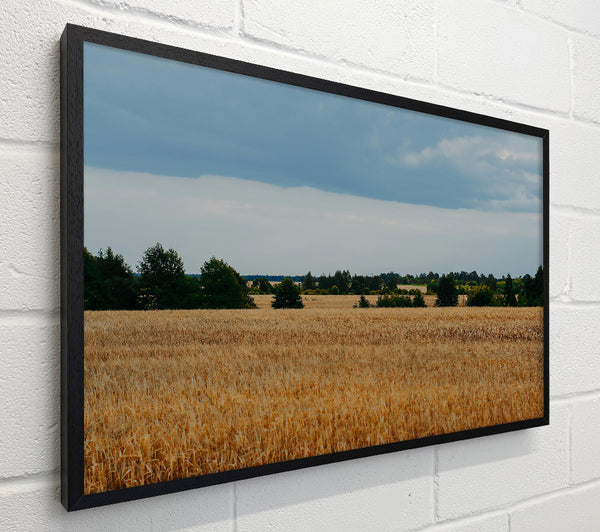 Golden Field Horizon