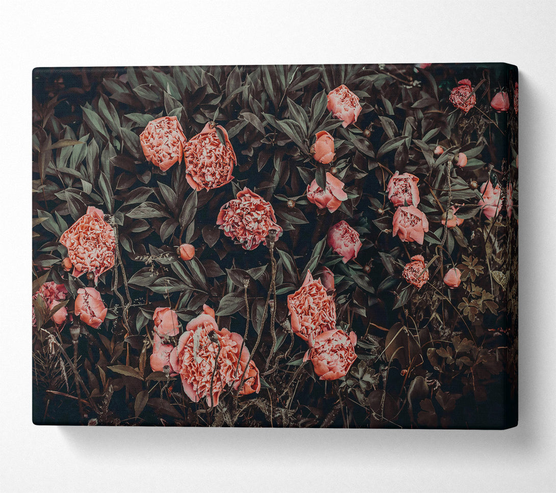  A Canvas Print of Crimson Floral Embrace Canvas Art