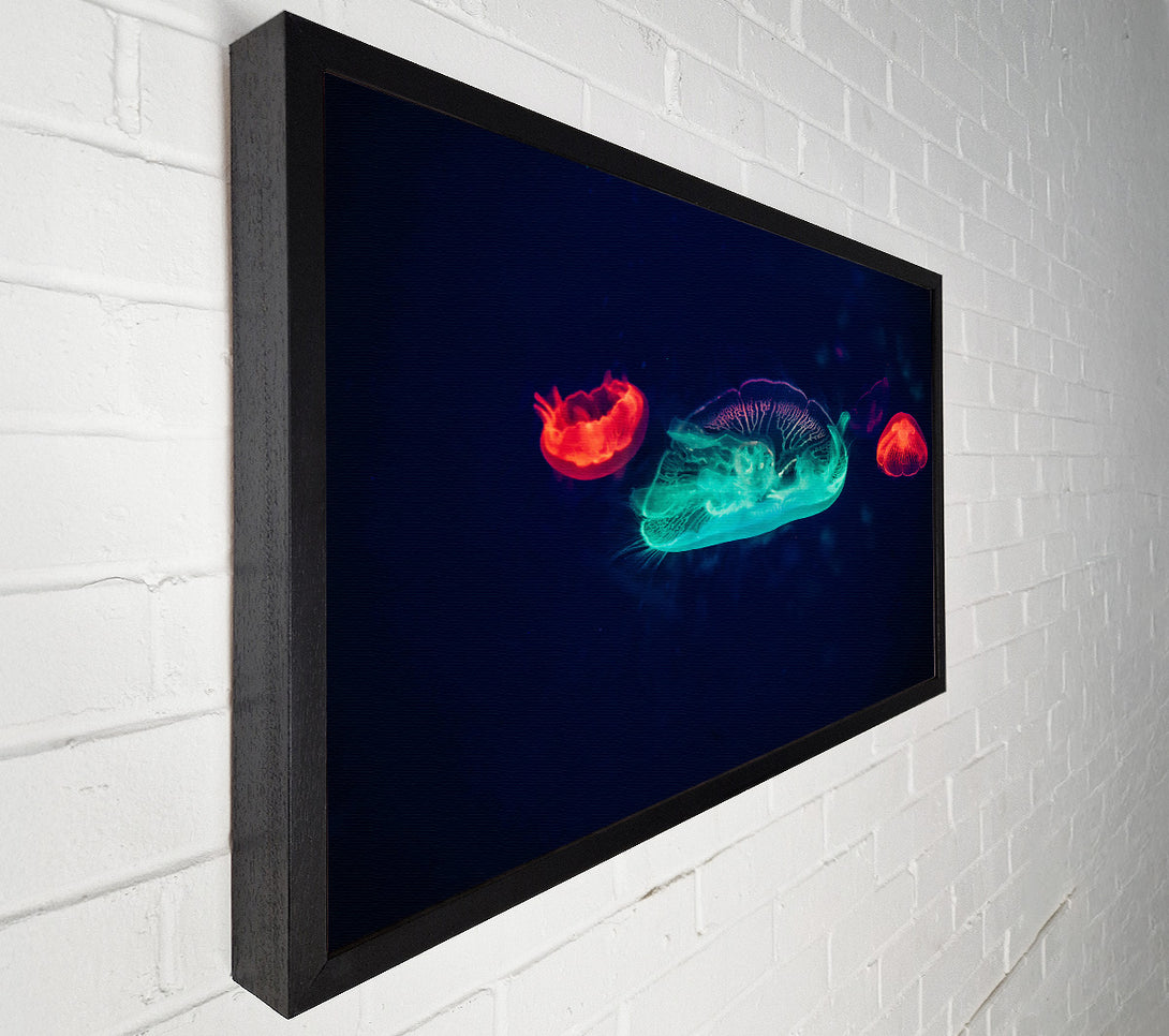  A Canvas Print of Aqua And Red Jellies Canvas Wall Art