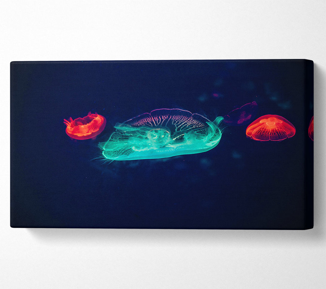  A Canvas Print of Aqua And Red Jellies Canvas Wall Art