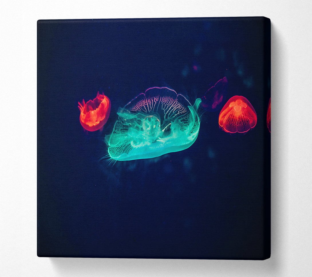  A Canvas Print of Aqua And Red Jellies Canvas Wall Art