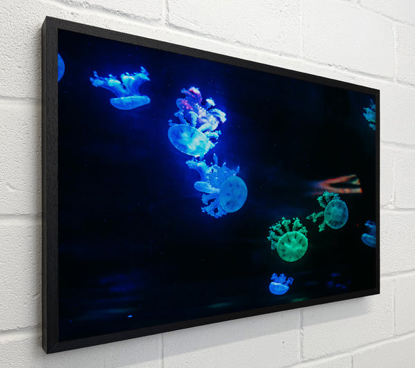 Blue Jellyfish Symphony