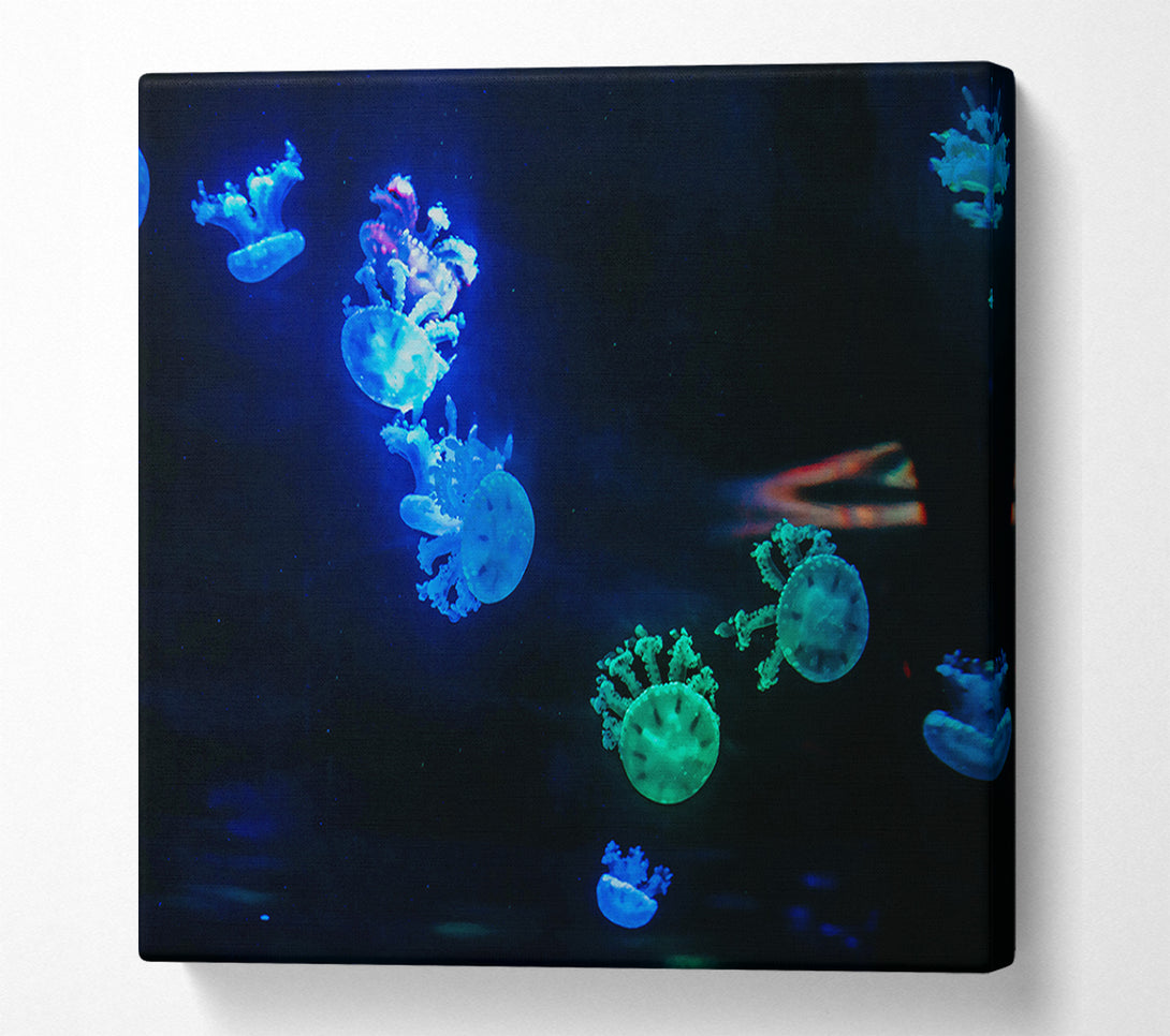  A Canvas Print of Blue Jellyfish Symphony Canvas Print