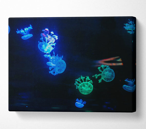  A Canvas Print of Blue Jellyfish Symphony Canvas Print