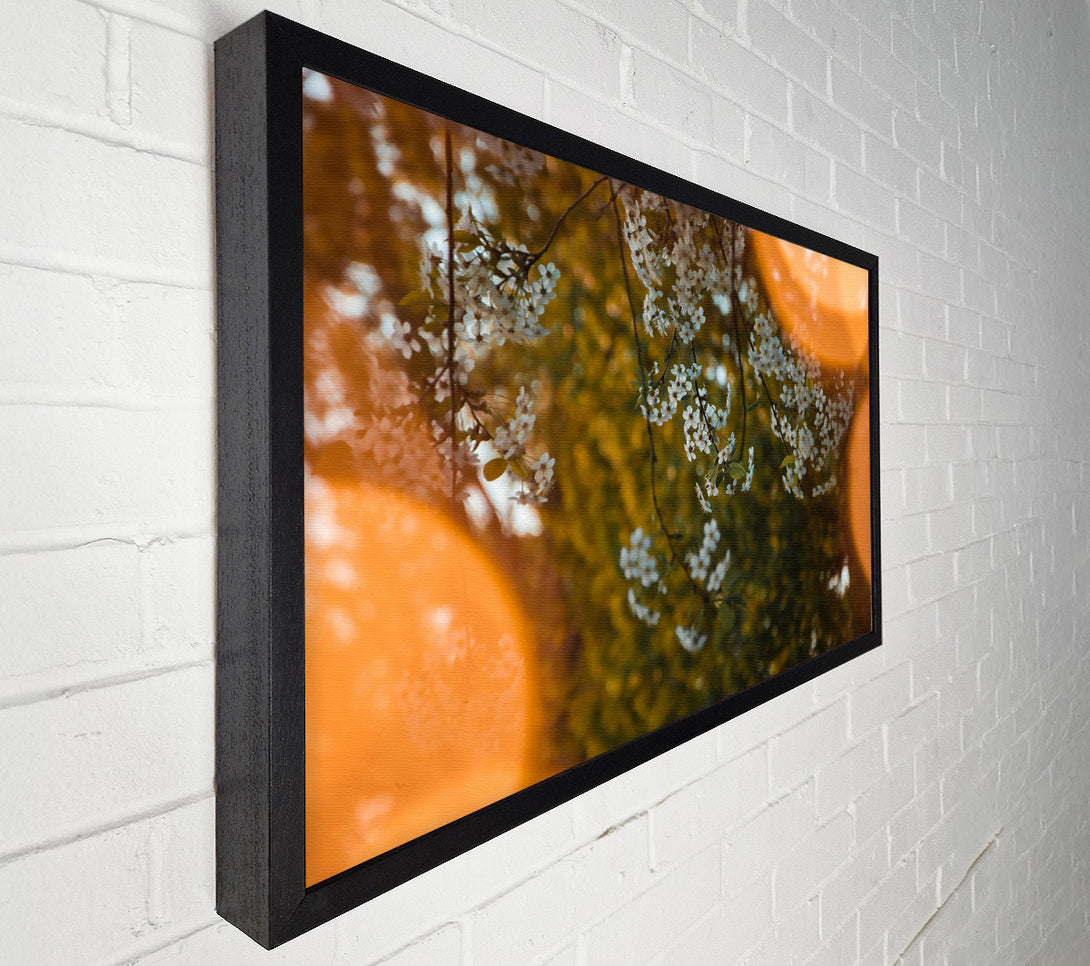  A Canvas Print of Orange Haze Blossoms Canvas Wall Art