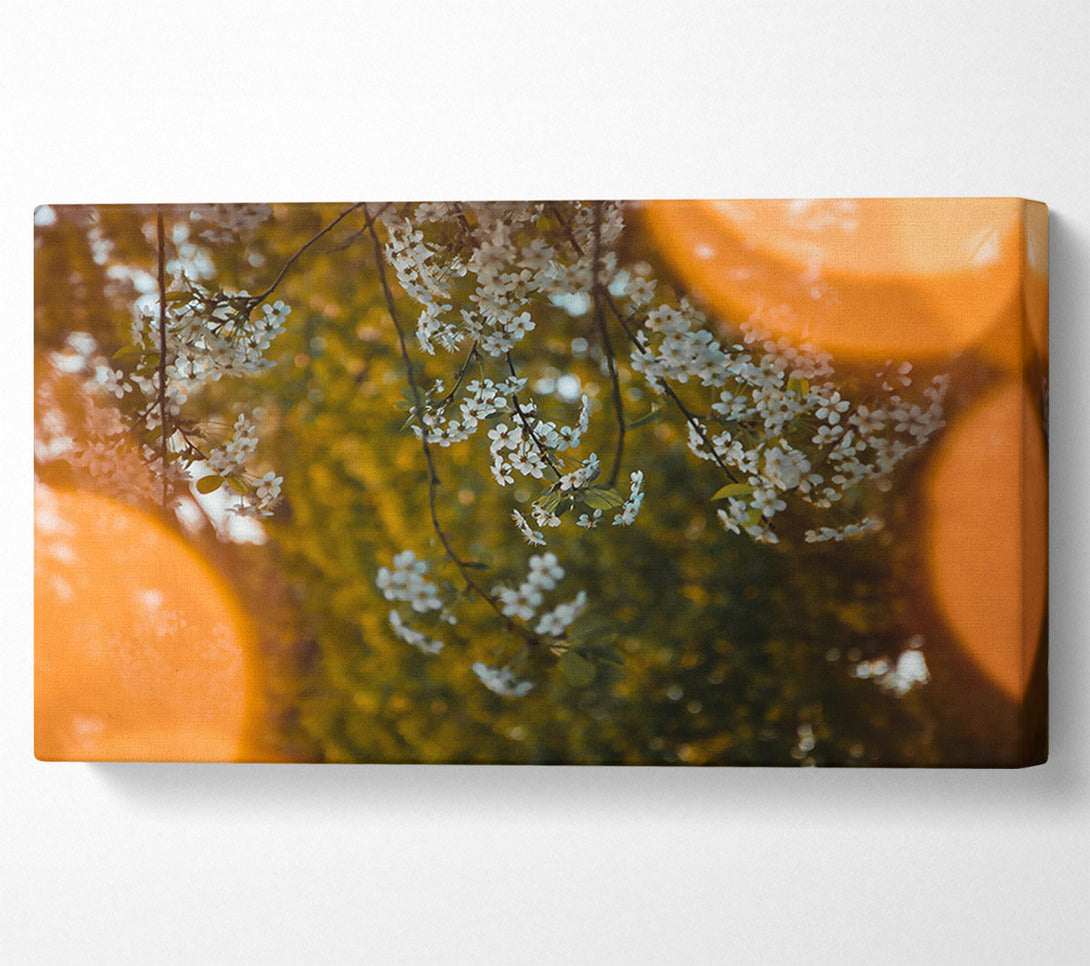  A Canvas Print of Orange Haze Blossoms Canvas Wall Art