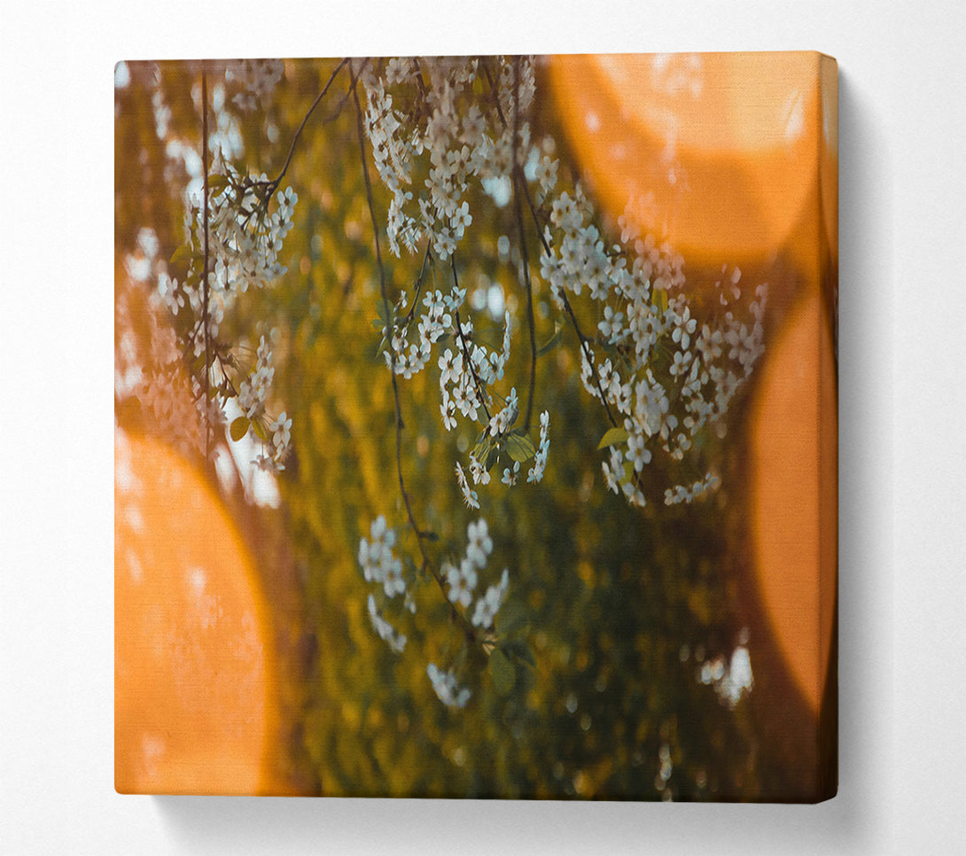  A Canvas Print of Orange Haze Blossoms Canvas Wall Art
