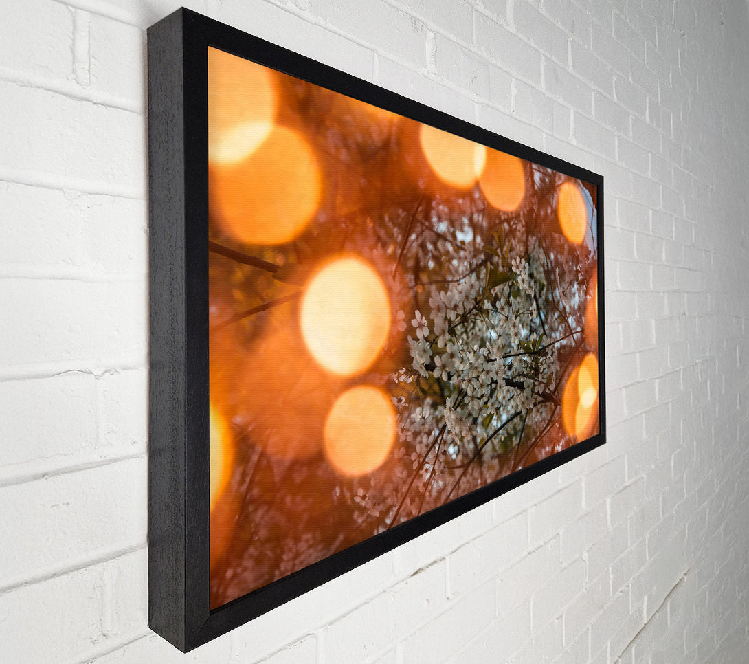  A Canvas Print of Orange Blossom Dreams Canvas Art