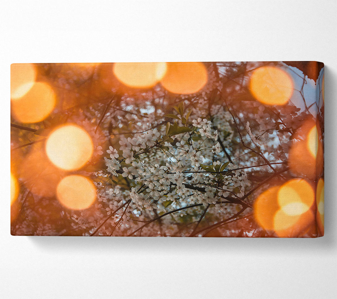  A Canvas Print of Orange Blossom Dreams Canvas Art