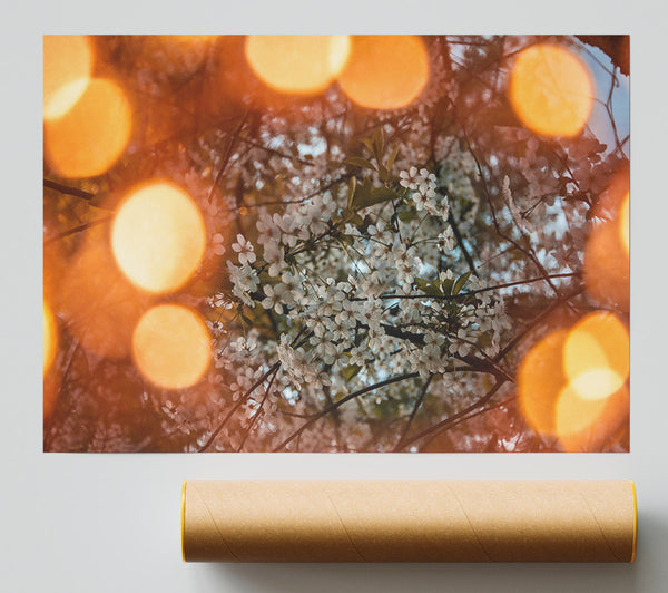 Orange Blossom Dreams Print