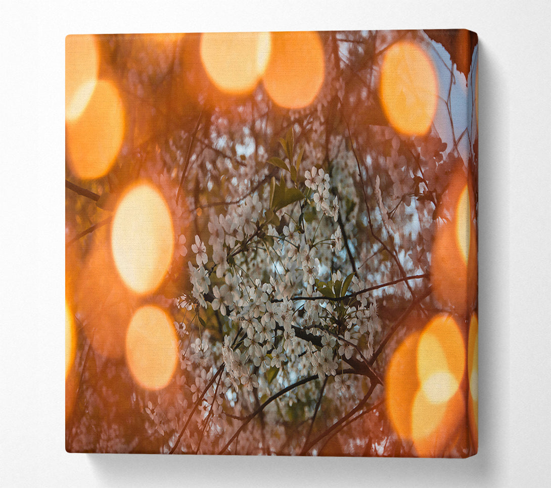  A Canvas Print of Orange Blossom Dreams Canvas Art