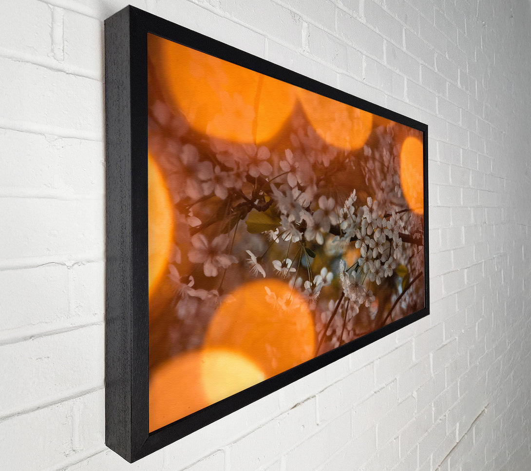  A Canvas Print of Orange Bloom Glow Canvas Print