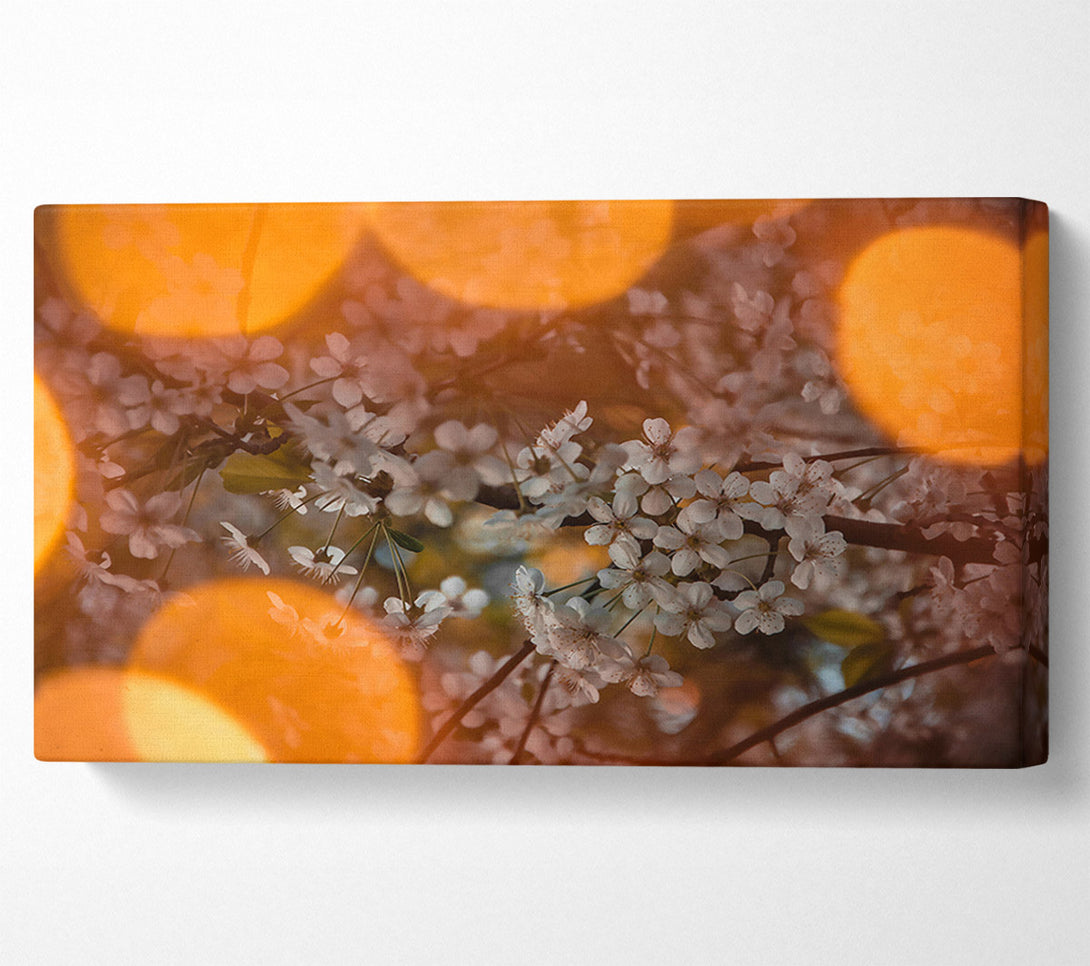  A Canvas Print of Orange Bloom Glow Canvas Print