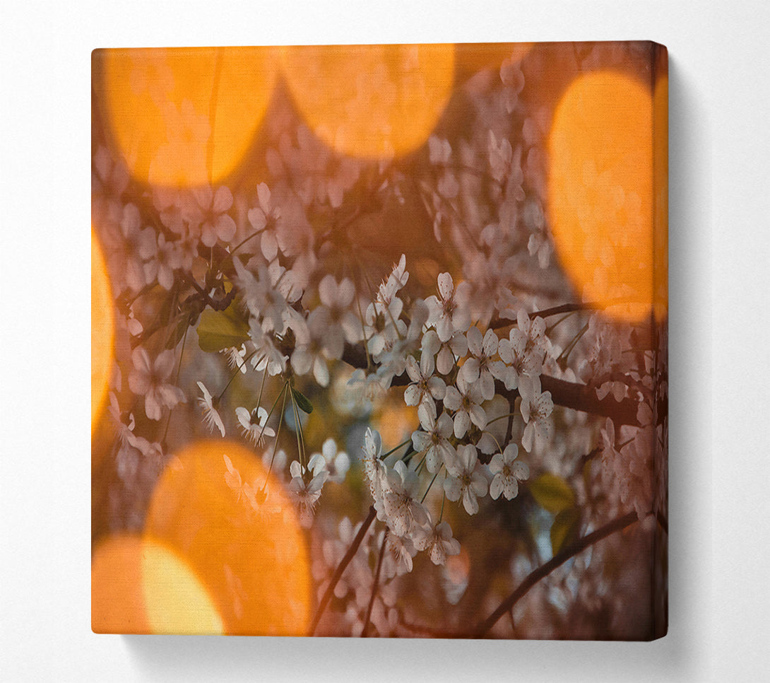  A Canvas Print of Orange Bloom Glow Canvas Print