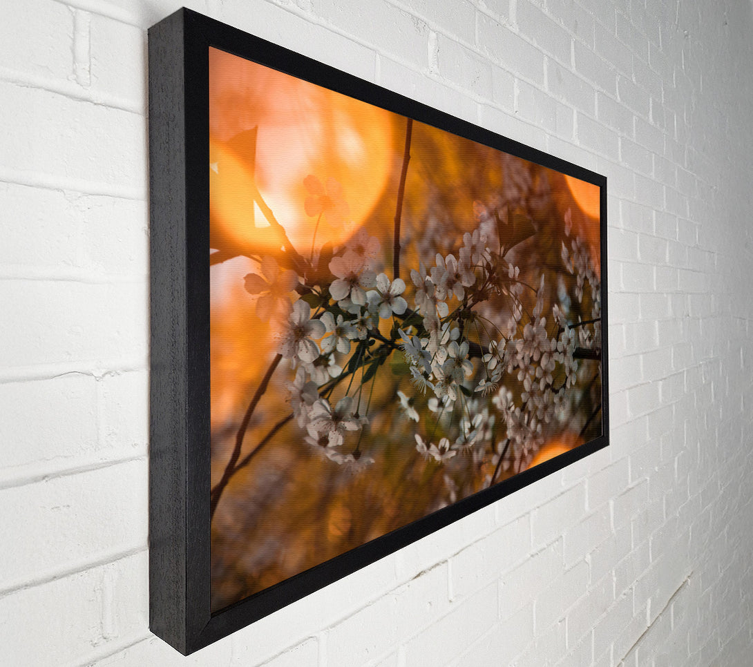  A Canvas Print of Orange Blossoms Glow Canvas Wall Art