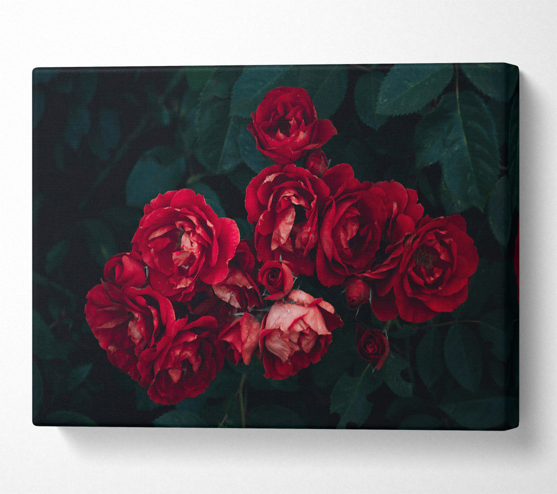  A Canvas Print of Loading... Canvas Print