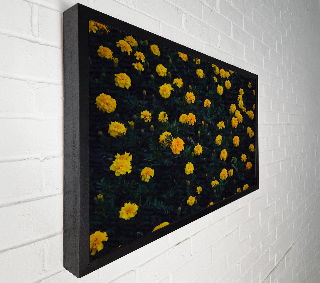  A Canvas Print of Golden Bloom Field Canvas Art
